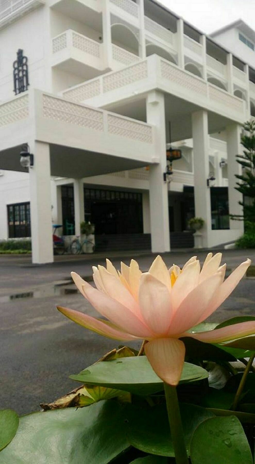 Koranaree Courtyard Boutique Hotel Nakhonratchasima Екстериор снимка